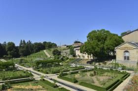 Château Colbert - Vegetable garden